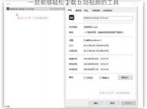一款能够轻松下载 b 站视频的工具