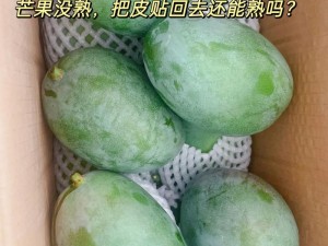 芒果乱码一二三四区别：不同版本的芒果乱码，功能和使用方式可能有所差异