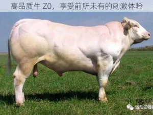 高品质牛 Z0，享受前所未有的刺激体验