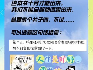 Plan B乐趣揭秘：一场意想不到的冒险之旅简介