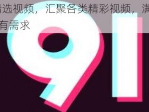 91 精选视频，汇聚各类精彩视频，满足你的所有需求