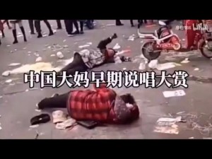 中国大妈 rap 东北，带你领略东北特色产品的独特魅力