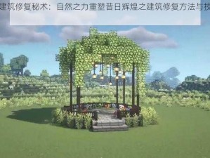 森林建筑修复秘术：自然之力重塑昔日辉煌之建筑修复方法与技巧分享