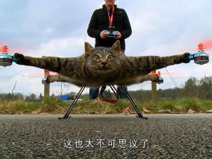 无人机战斗揭秘：猫咪激战炫酷截图大放送