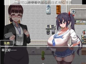 一款可以随便看内部位的日式 RPG 手游