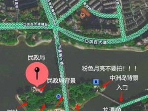 爱情岛免费线路 3：为何总是找不到？如何解决？