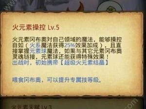 不思议迷宫元素大陆高效速刷攻略：阵容搭配与实战技巧揭秘