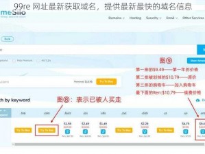 99re 网址最新获取域名，提供最新最快的域名信息