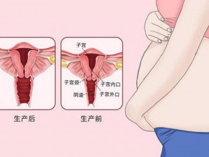 生过孩子的女性，为何还能如此紧致？