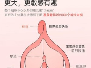 娇妻裸体交换俱乐部 61：打造高品质成人玩具，让你享受极致性体验