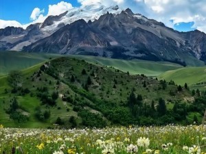 野花社区大全免费观看，汇聚各类精彩视频，无广告骚扰，畅享高清体验