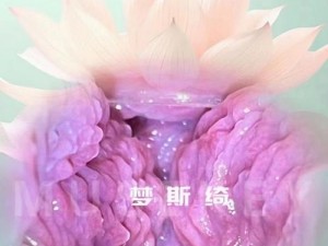 女性半夜莲花开放的治疗方法——花仙子私密呵护贴