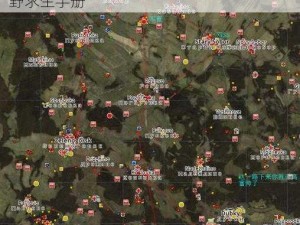 DayZ独立版生存攻略：掌握跑图技巧，荒野求生手册