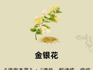 深不可测 金银花_金银花的世界深不可测，你了解多少？