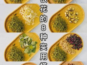 下厨房金银花，花型饱满，色泽纯净，可搭配多种食材，清热解毒，快来购买吧