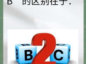 B大与小的区别—B 大的奥秘：探究大与小的区别