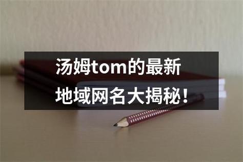 汤姆叔叔 tom 最新地域网名，一款安全、免费、无广告的实用工具