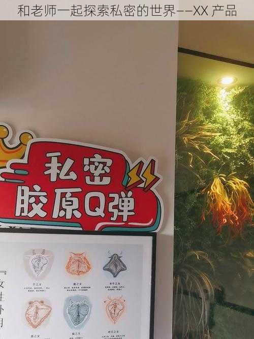 和老师一起探索私密的世界——XX 产品