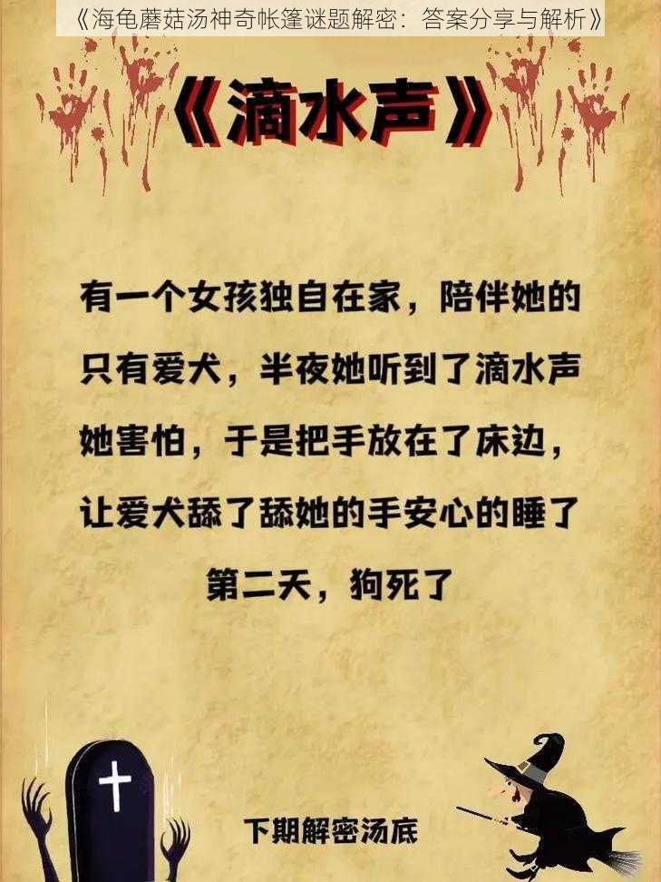 《海龟蘑菇汤神奇帐篷谜题解密：答案分享与解析》