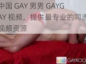 中国 GAY 男男 GAYGAY 视频，提供最专业的同志视频资源