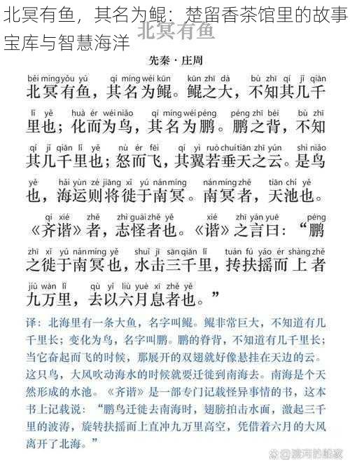 北冥有鱼，其名为鲲：楚留香茶馆里的故事宝库与智慧海洋