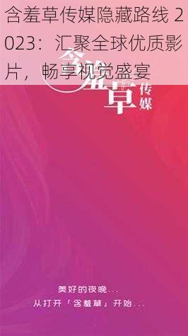 含羞草传媒隐藏路线 2023：汇聚全球优质影片，畅享视觉盛宴