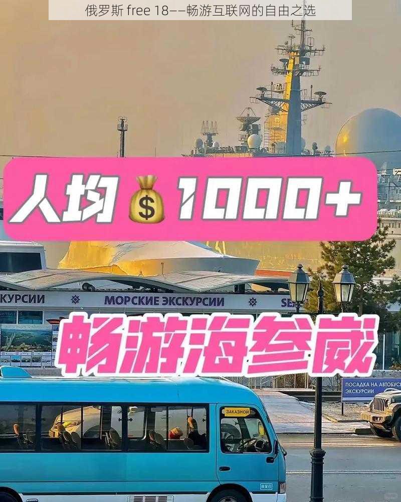 俄罗斯 free 18——畅游互联网的自由之选