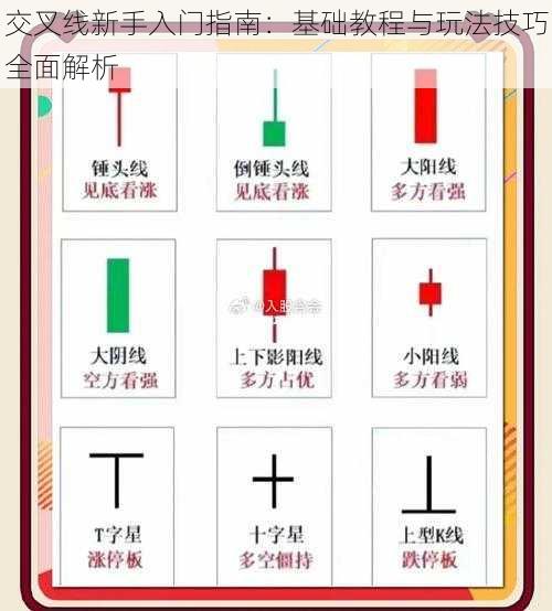 交叉线新手入门指南：基础教程与玩法技巧全面解析