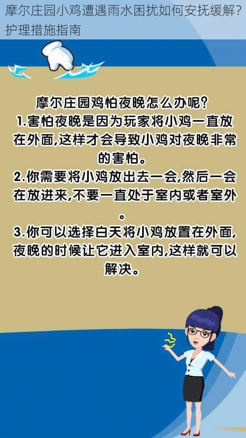 摩尔庄园小鸡遭遇雨水困扰如何安抚缓解？护理措施指南