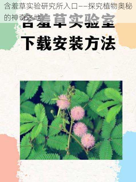 含羞草实验研究所入口——探究植物奥秘的神奇之地