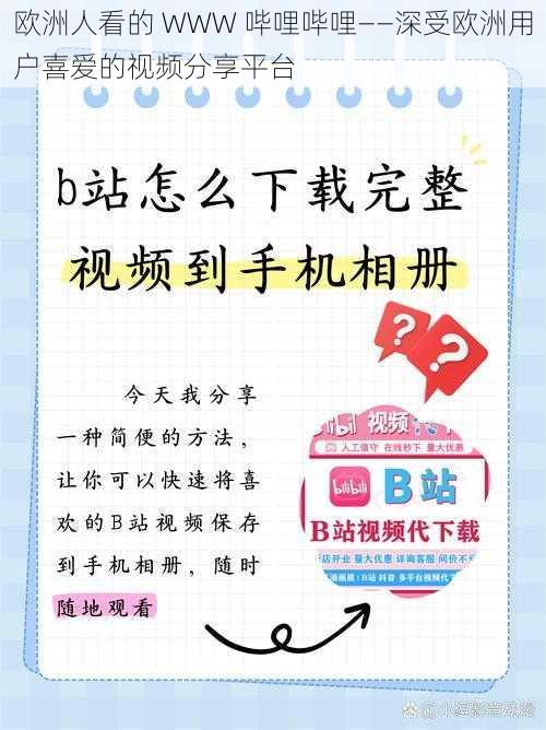 欧洲人看的 WWW 哔哩哔哩——深受欧洲用户喜爱的视频分享平台