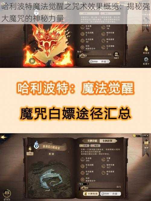 哈利波特魔法觉醒之咒术效果概览：揭秘强大魔咒的神秘力量