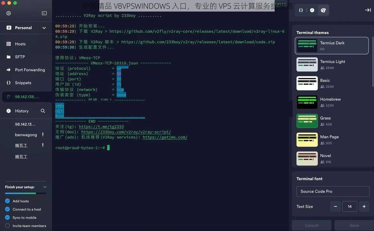 中国精品 V8VPSWINDOWS 入口，专业的 VPS 云计算服务提供商