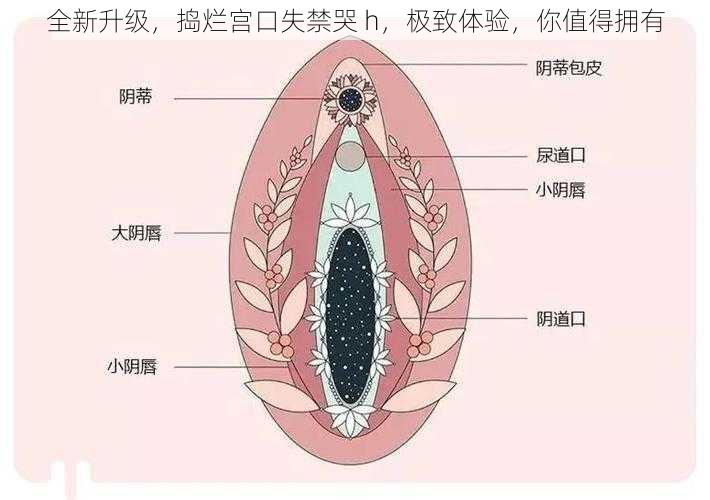 全新升级，捣烂宫口失禁哭 h，极致体验，你值得拥有