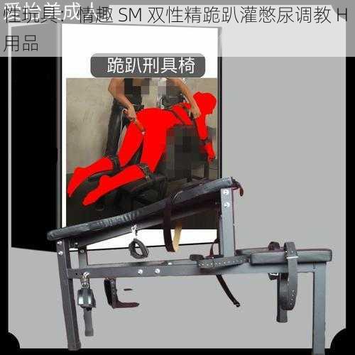 性玩具：情趣 SM 双性精跪趴灌憋尿调教 H 用品