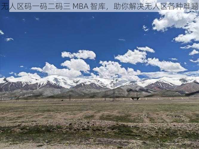 无人区码一码二码三 MBA 智库，助你解决无人区各种难题