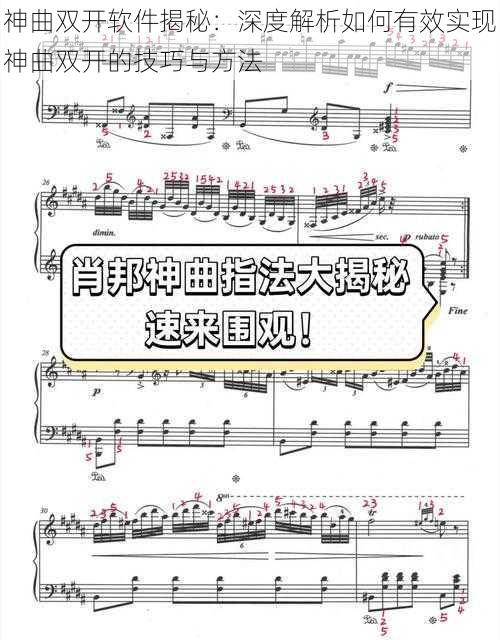 神曲双开软件揭秘：深度解析如何有效实现神曲双开的技巧与方法