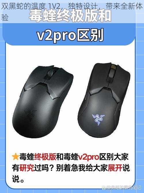 双黑蛇的温度 1V2，独特设计，带来全新体验