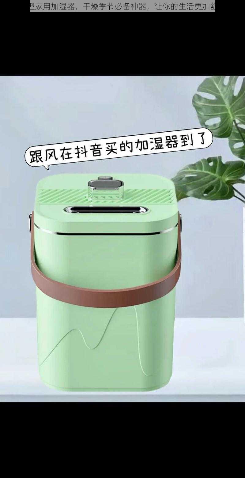 小型家用加湿器，干燥季节必备神器，让你的生活更加舒适