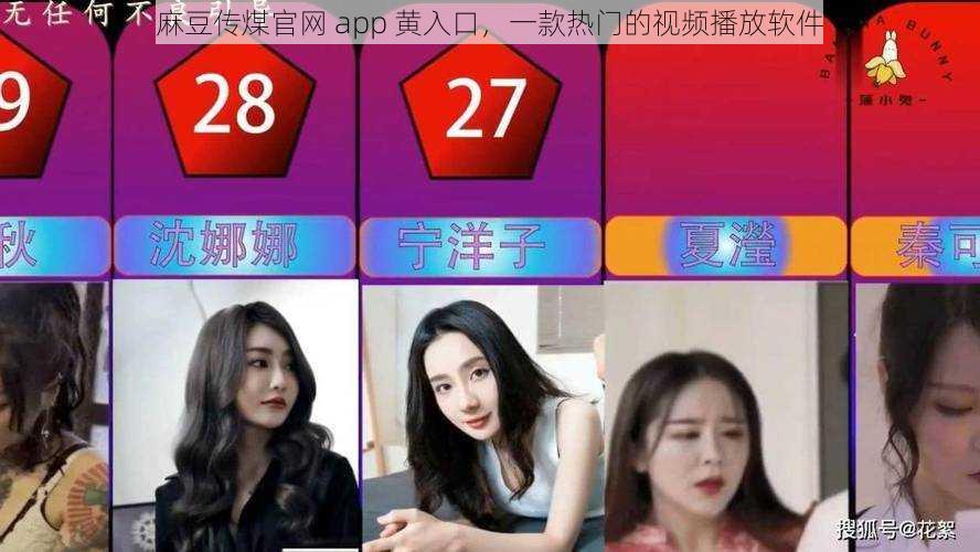 麻豆传煤官网 app 黄入口，一款热门的视频播放软件