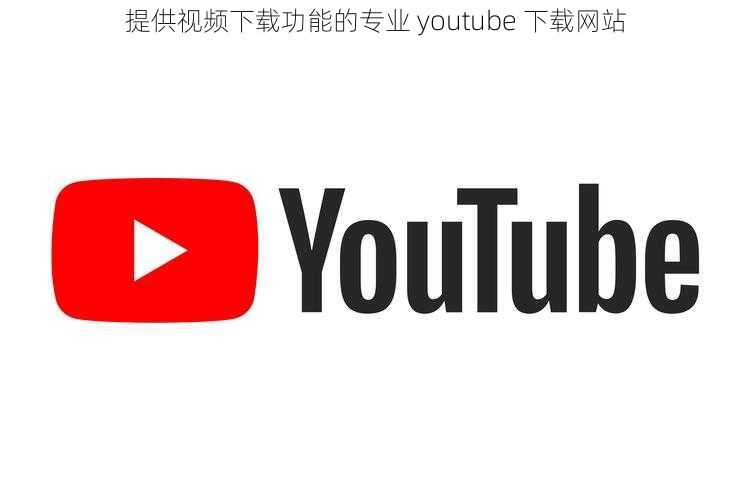 提供视频下载功能的专业 youtube 下载网站