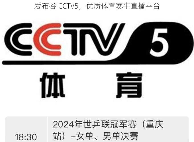 爱布谷 CCTV5，优质体育赛事直播平台