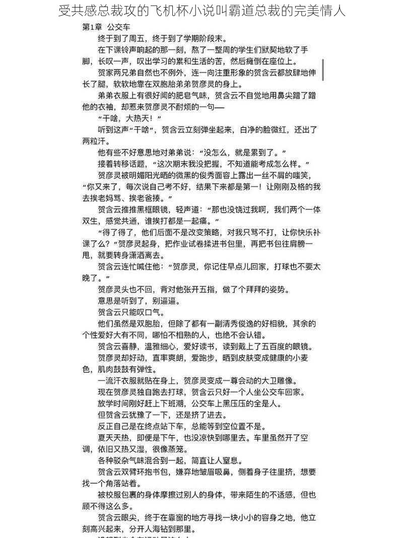 受共感总裁攻的飞机杯小说叫霸道总裁的完美情人