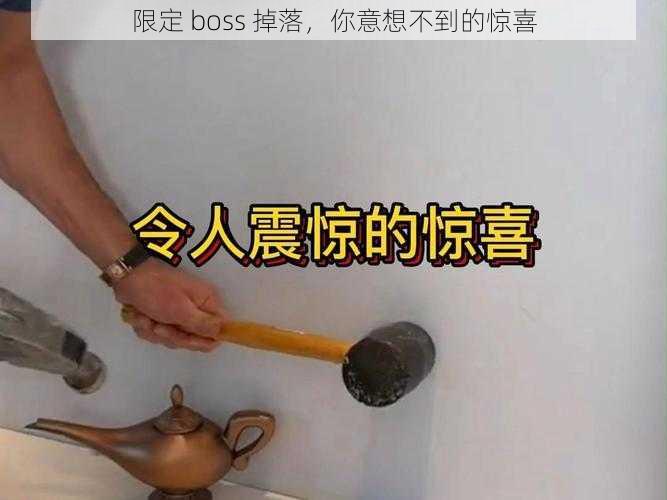 限定 boss 掉落，你意想不到的惊喜