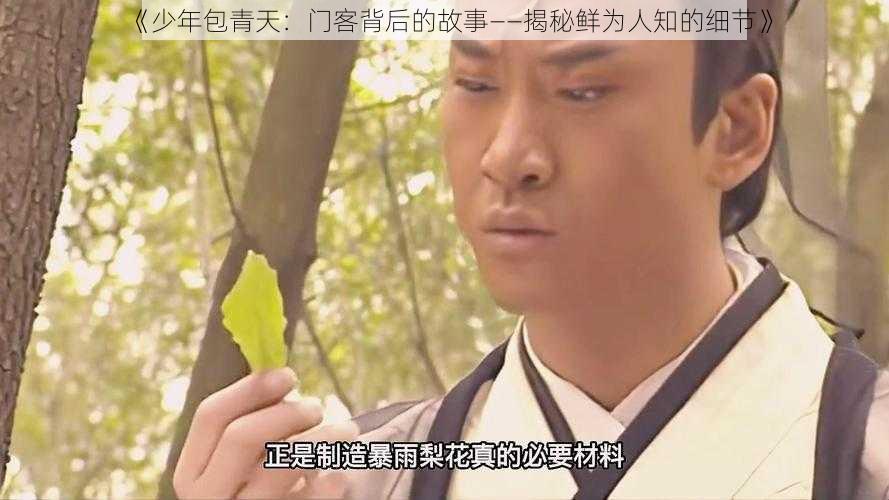 《少年包青天：门客背后的故事——揭秘鲜为人知的细节》