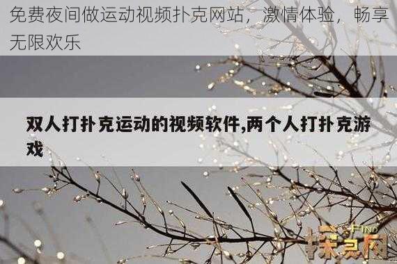 免费夜间做运动视频扑克网站，激情体验，畅享无限欢乐