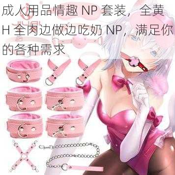 成人用品情趣 NP 套装，全黄 H 全肉边做边吃奶 NP，满足你的各种需求