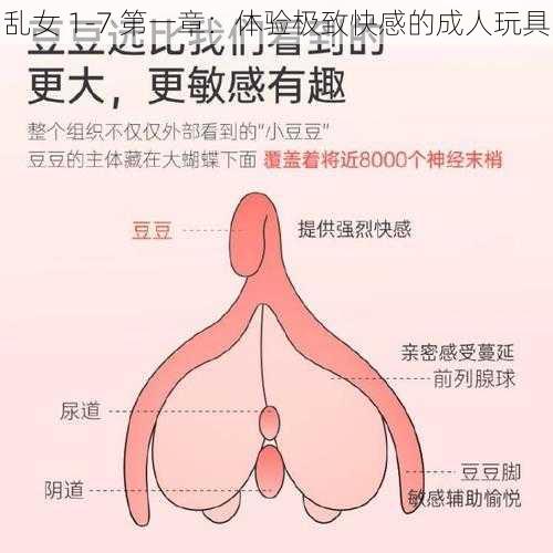 乱女 1-7 第一章：体验极致快感的成人玩具