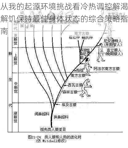 从我的起源环境挑战看冷热调控解渴解饥保持最佳身体状态的综合策略指南