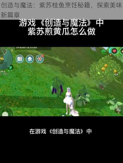 创造与魔法：紫苏桂鱼烹饪秘籍，探索美味新篇章